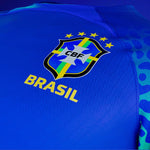 Camisa Nike Seleção Brasileira 2022 - viya-stores